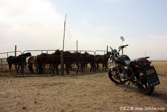 ��ԭ����Ұ&nbsp;����ŵ���Լݸ�������Ƥ��