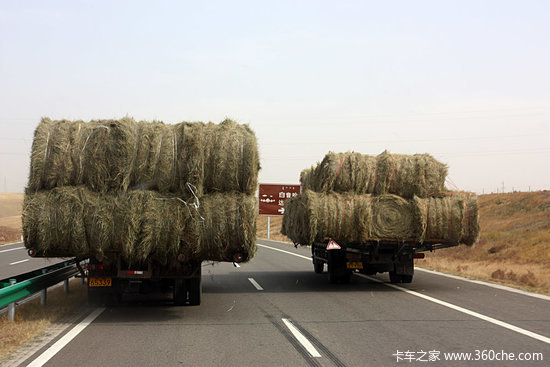 ��ԭ����Ұ&nbsp;����ŵ���Լݸ�������Ƥ��