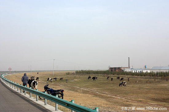 ��ԭ����Ұ&nbsp;����ŵ���Լݸ�������Ƥ��