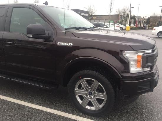 �������ݱ���&nbsp;����Ƥ��F150���±��ۣ�