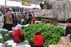 ���������Ľ�� �����µ����ʹ�Ӧ��