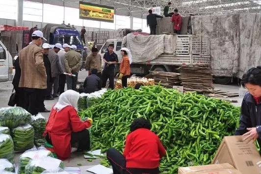 ���������Ľ��&nbsp;�����µ����ʹ�Ӧ��