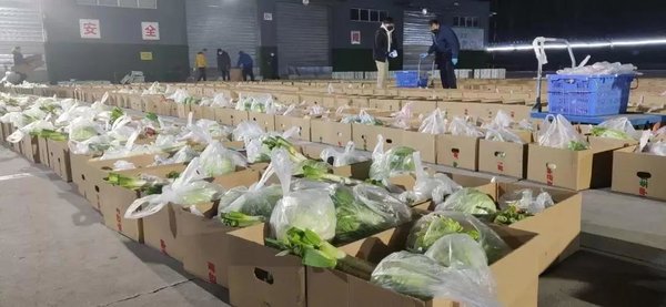 ���������Ľ��&nbsp;�����µ����ʹ�Ӧ��