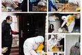 从买菜问题的解决 疫情下的生鲜供应链