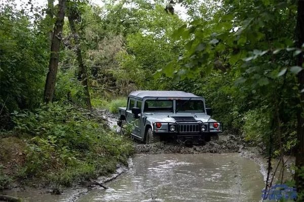 ����Ʒ�ƺ����綯Ƥ��Ϊ��Ҫ�������գ�