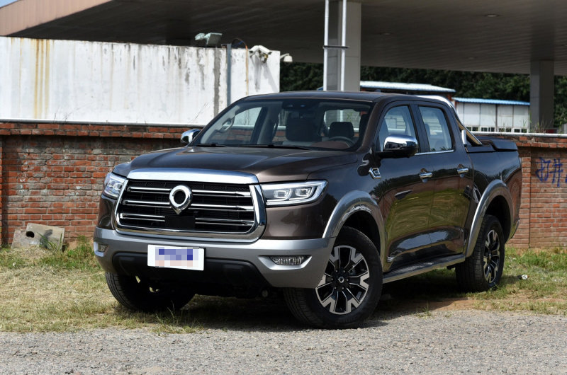 来自印度的皮卡长相一般在台湾还挺贵图片列表