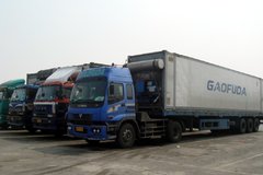 �������� �����䶳ʳƷ�������������