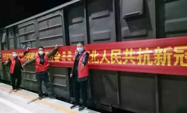�������������������310���߲˺�����