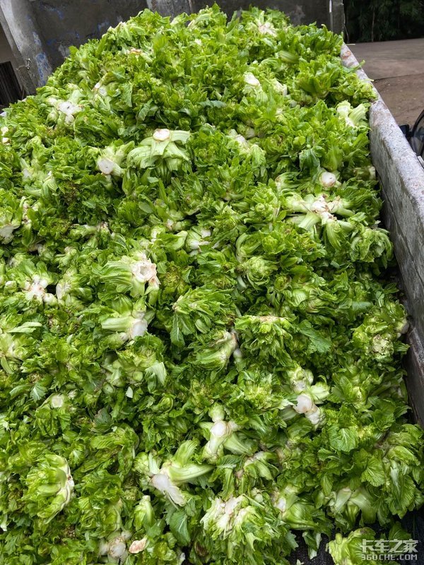 ��ũ��֪���Ѿ��ȥ�人&nbsp;���˿�ȫ�˻�