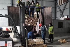 ��Խ�����й��������ܲ��ײ����ˣ�