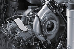 ����С�ٿƣ�8�����������Ǹ���ģ�