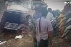 �������ˣ�80��ֻ1�׳�����ʬ��ȫ����