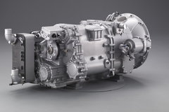 ����С�ٿƣ�9��������ɢ���������