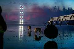 ���ع� �ֶ��ֿ���ȷ������4���³���