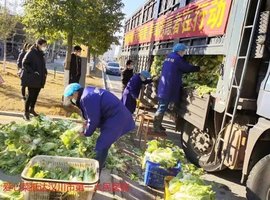 满载蔬菜 飞驰1500多公里,云南到湖北的战疫“爱之援”