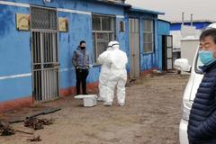 ��һ�˻�Ⱦ��  ���ѣ�����һ����45����