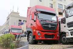 �����������������˳� ŷ��������ôѡ?