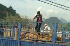 ˯�������ϵĿ�ɩ���ж�3000�򿨳�˾��