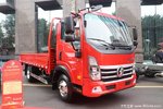 仅售11.08万 王牌瑞狮载货车 优惠促销