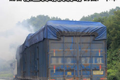 ȫ 䱸ԭƶĹ