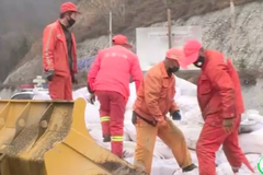 ��׼����ָ�������� �ƶ�����������