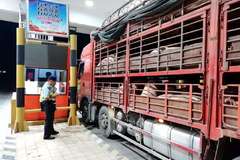 ����ֳ�������У��������������ģ�