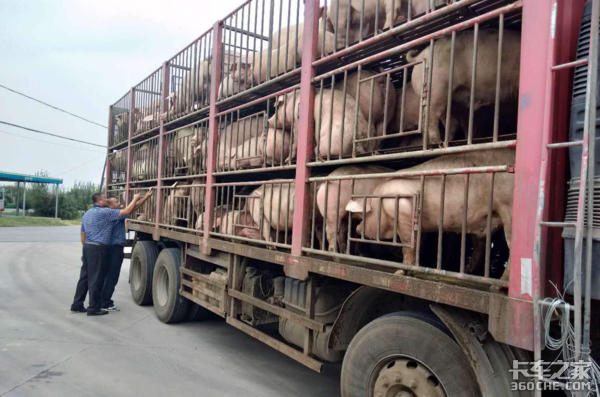 ����ֳ�������У��������������ģ�