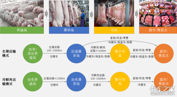 从养殖场到超市，猪肉是如何运输的？看完你就知道肉价为啥这么贵