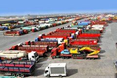 ̽���ľ�������ۺ�����԰ ��������