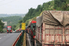 ���ｫ��ֹ������ͨ�� ���ٷ���ͨ��֤