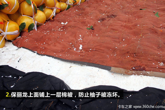 �ؿ�������̸(31)ũ����Ʒ���䳵����V3