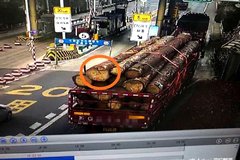 ������������ ͵��ľ�ĺ󱻼��