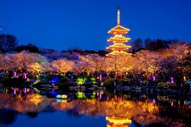 武汉再度重启!终于等到“热干面”出门