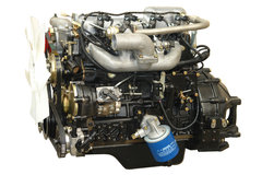 ȫ�񲻶����� ��С�׾����ܶ���������