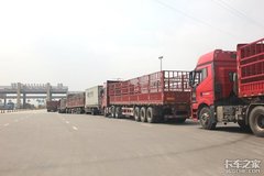国三淘汰大考将至，这里有你不能错过的知识点