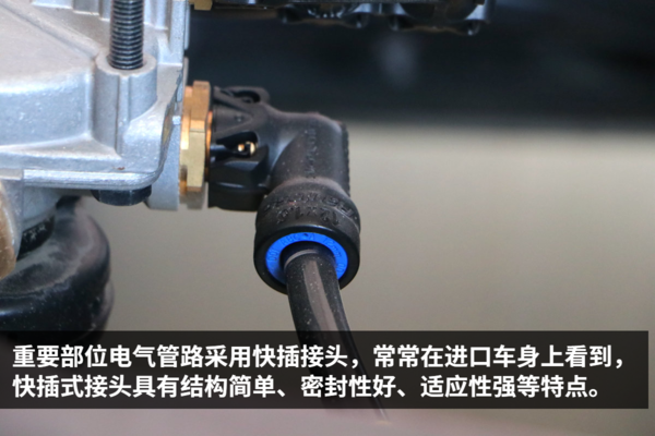 ���棡������Ϯ&nbsp;&nbsp;ͼ��2020�������콢