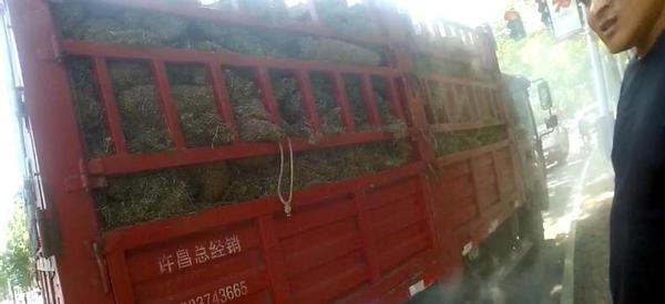 ���Ͻ�����׷�����ף�����˾��һ����