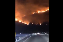 ˾���ѱ�ץ��������ȼ�����㶫ƽ��ɽ��