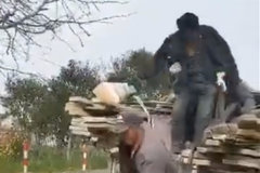 ����з��о�Ȼ����7���� ����������