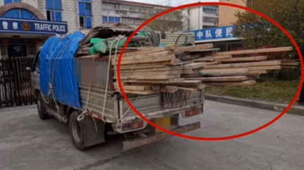 ����з��о�Ȼ����7����&nbsp;����������