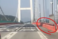 ���£����Ŵ��������Žṹͨ����ȫ����