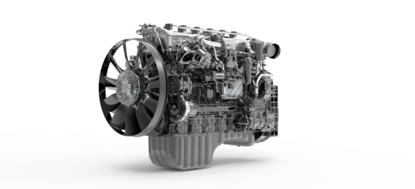 ���ҽ�ʨCNGǣ��������������Чӯ��