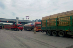 ��7ǧ��10�� ���ӳּ�֤�������·��ץ