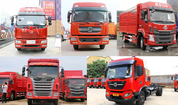 ���п���֪����ôѡ����������ڿ�ʲô