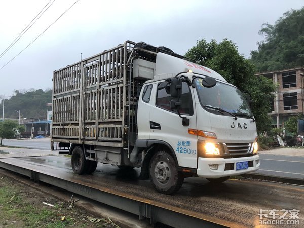 从养殖场到屠宰场，路程虽然很短，但活禽运输却没那么容易