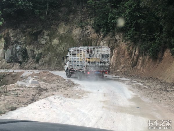 从养殖场到屠宰场，路程虽然很短，但活禽运输却没那么容易