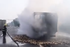 �Ի��������ۣ��������32����п�����