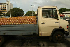 Ϊʲô���Ѿ���˵������Ҳ������ͨ��