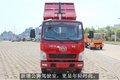 蓝牌无忧 一汽解放经典329S1自卸车品鉴
