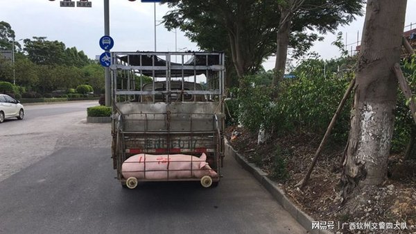 ����250��1��&nbsp;�һ��ɽ�����˵�Ҷ�����